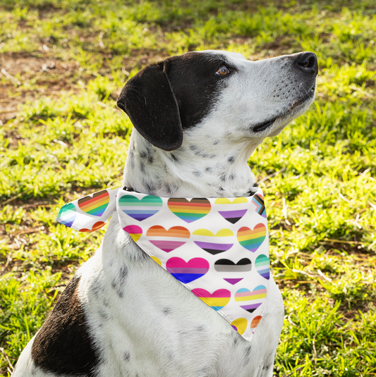 Pride Bandana