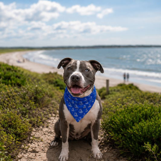 Dog with a blue bandana sitting on a path by the beach