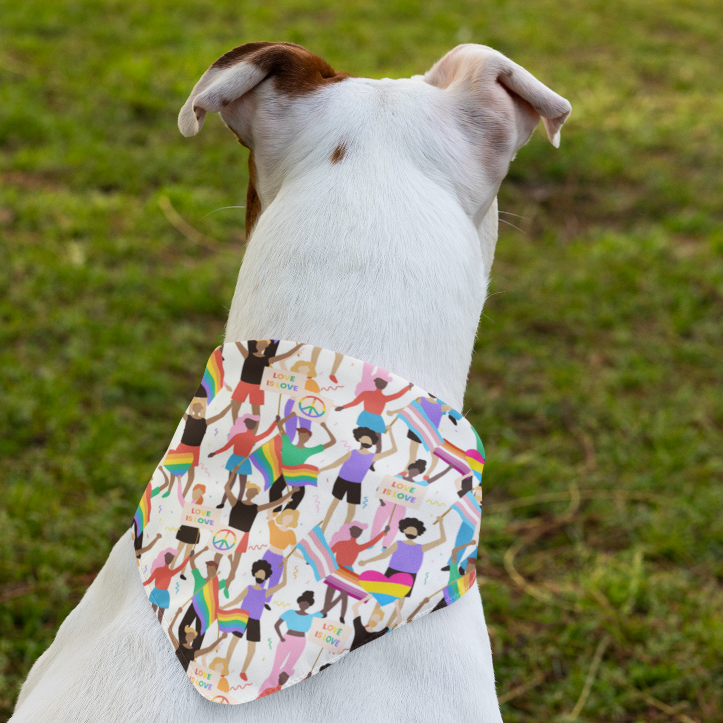 Pride Bandana